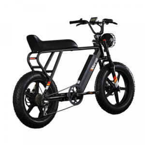 Verve PANTERA Motorcycle-Style eBike Matte Black VERLEIH!